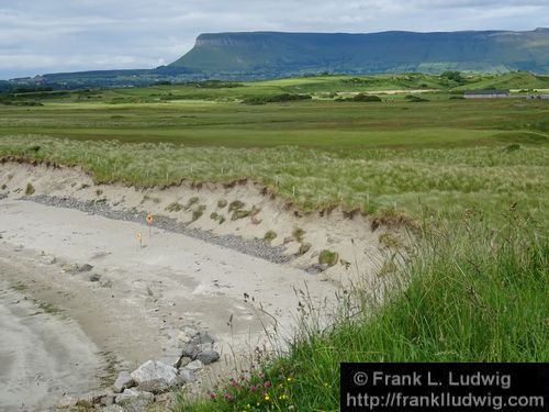 Rosses Point